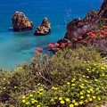 Algarve Coast in Spring